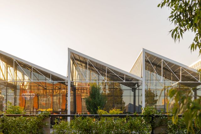 Stunning carpark view of the carefully constructed sawtooth roof with T-bar window wall installed by Harris Steel