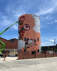 Silo Art Project - shows cherry picker used for the daily painting activities